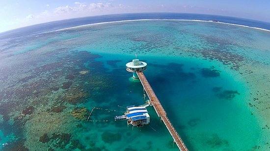 グアムツアーコレクション-アンダーシーウォーク