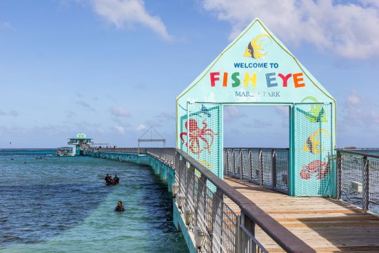 グアムツアーのハイライト-フィッシュアイパークアウトルックタワー＆ディナーショー