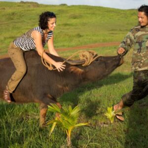 RIDE A CARABAO GUAM