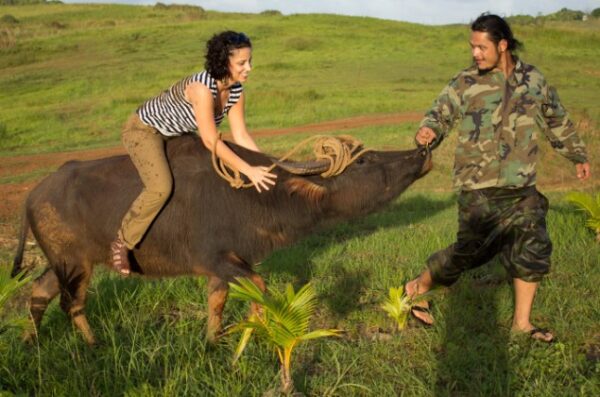 RIDE A CARABAO GUAM