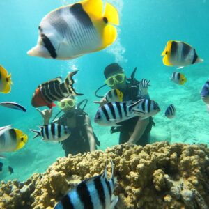 Introductory Scuba Diving﻿