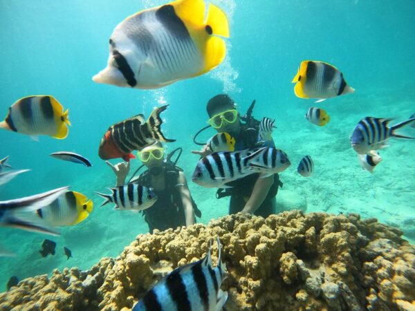 Introductory Scuba Diving﻿